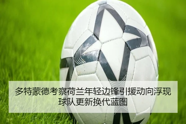 多特蒙德考察荷兰年轻边锋引援动向浮现球队更新换代蓝图